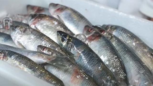 2000원이면 살 수 있는데... 전문가마저 생선회 맛에 입 벌리며 감탄한 물고기