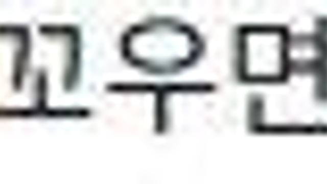 플레이브 공연 처음 본 카리나 
