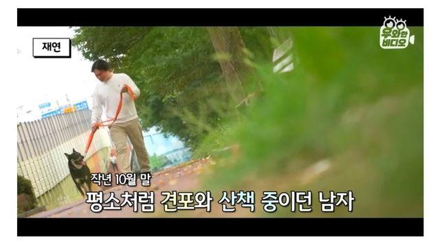 목숨을 걸고 한 달 만에 집으로 돌아온 강아지