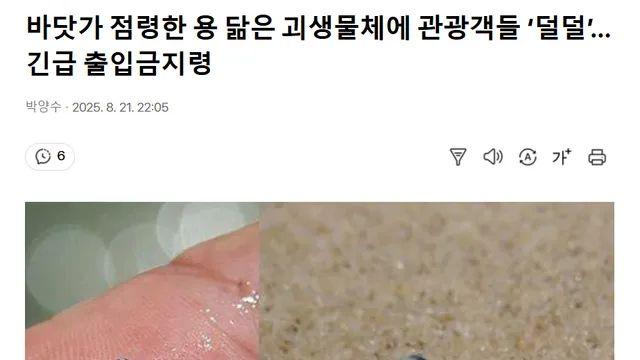 바닷가 점령한 용 닮은 괴생물체