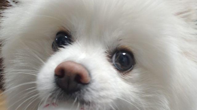 예고없이 찾아온 '감자'...지금은 없는 아들 모습이 보입니다