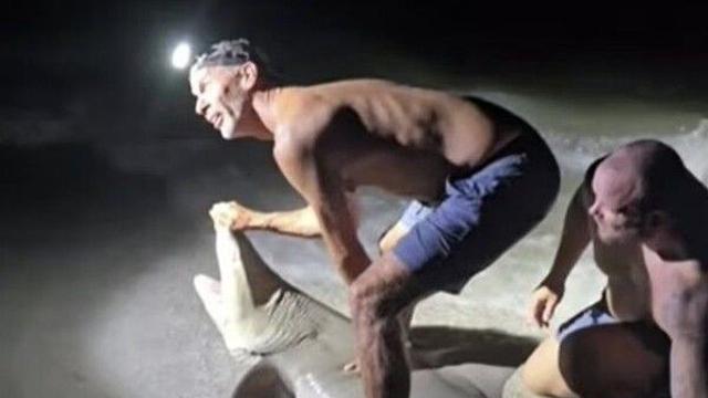 플로리다 해변서 상어와 사진 찍던 男…다리 물려 병원행 '아찔'