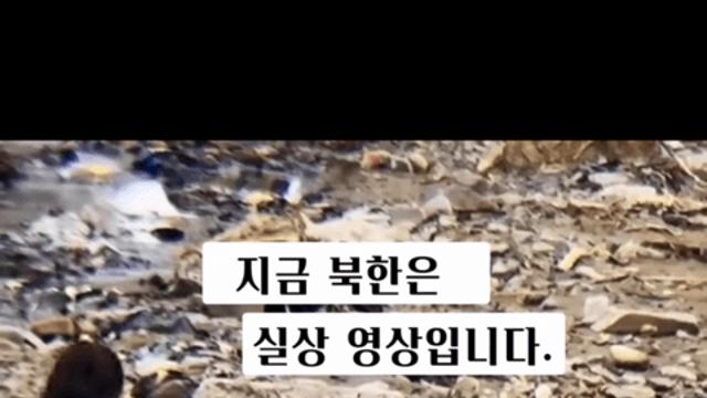 남한 젊은세대가 통일에 반대하는 이유..jpg