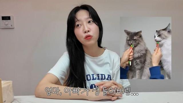 쯔양, ‘반려묘 유기 의혹’ 해명… “본가서 아이들이 떠나기 싫어해” [RE:뷰]