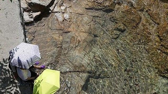 전북 전역 폭염특보 지속…정읍 35.5도
