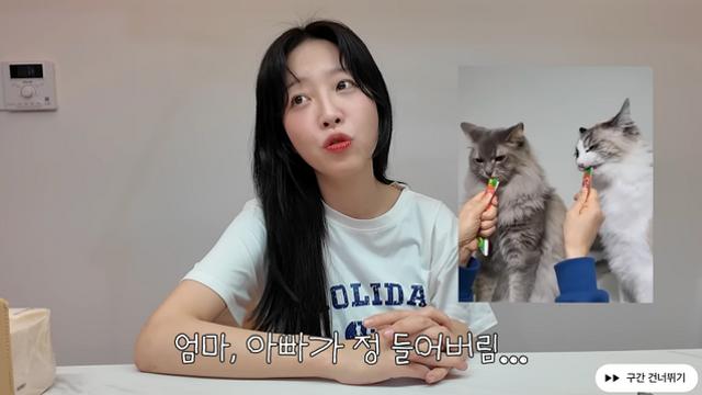 쯔양, 반려묘 유기 의혹에 