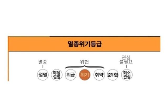 아쿠아리움 직원들이 판초우의와 캡을 쓰는 이유
