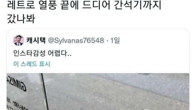 결국 석기 시대까지 가버린 인스타 갬성 근황