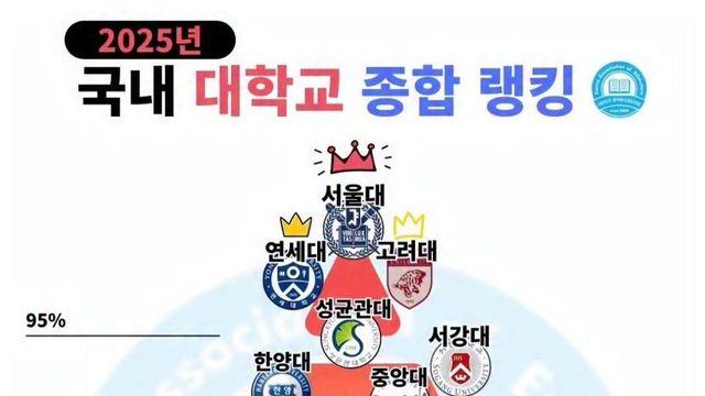 조회수 터진 2025년 대학교 순위