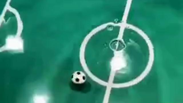 금붕어 축구계의 손흥민.mp4