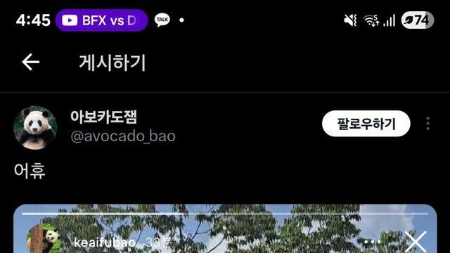 싱글벙글 푸바오맘들 근황