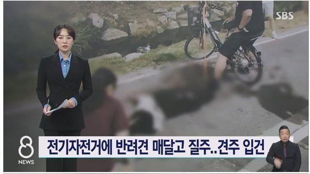전기 자전거에 반려견 매달고 질주해 질식사시킨 미친 견주