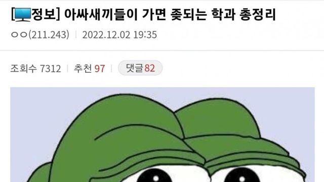 찐따는 가면 안되는 학과