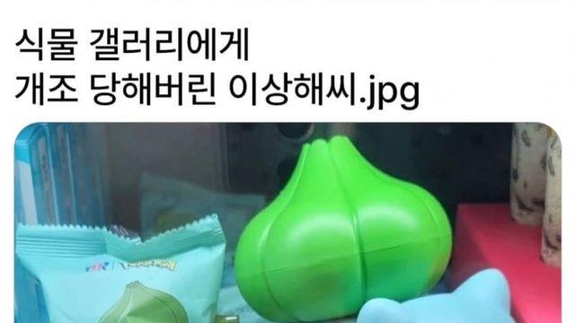 식물 갤러리에서 개조당한 이상해씨