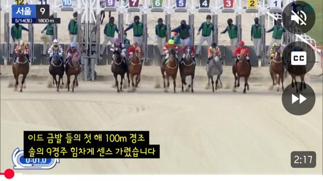열심히 뛰어서 억대 상금 벌어준 경주마들이 끌려간 곳 
