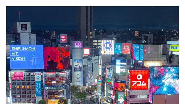 아까 한참 갤떡으로 돌던 '시부야 그 거리' 사진