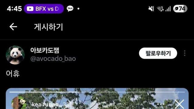 푸바오맘 근황
