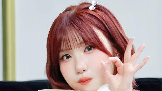햄토리상 세이마이네임 히토미