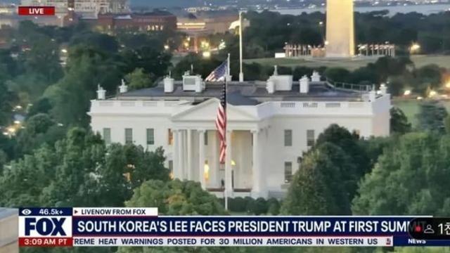 LEE FACES