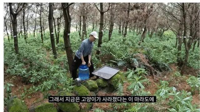 마라도 탐조를 위해 설치한 물그릇 관찰 카메라에 포착된 외래종