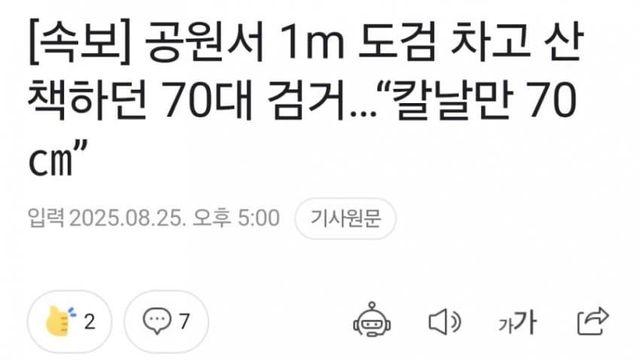 70대노인 공원서 도검차고 다녀