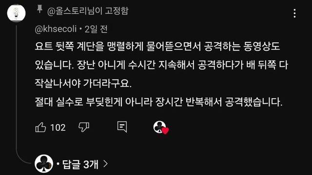 요즘 범고래가 인간을 공격하기 시작함