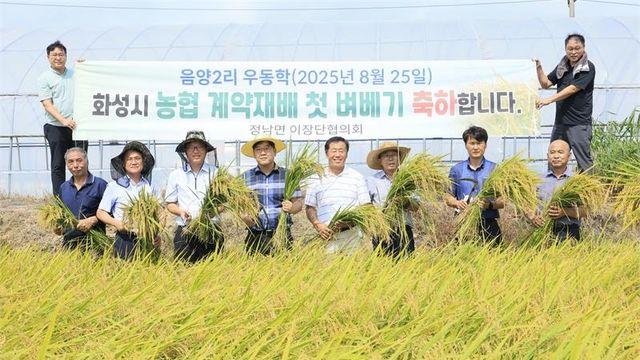 화성시, 올해 첫 벼 수확...정남면서 ‘한눈에 반한 쌀’ 본격 출하