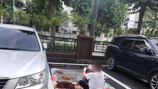 주차장 점령하고 고추 다듬는 아줌마…