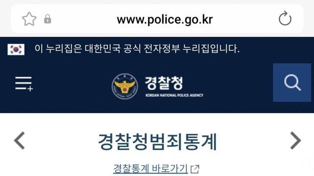 따끈따끈 오늘 나온 경찰청 2024년 범죄 통계