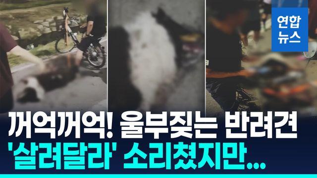 [영상] 전기자전거에 반려견 매달고 죽을때까지 달려…
