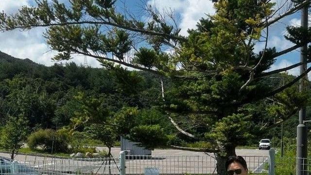 '세 딸 입양' 진태현, 마라토너 딸 공개…