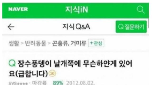 장수풍뎅이와 바오밥나무.