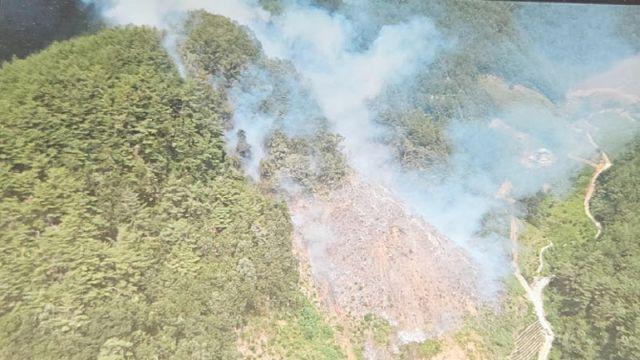 말벌 잡으려다 백두대간 태울 뻔? 삼척 산불 6시간여 만에 진화
