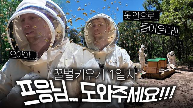 양봉 시작한 올리버쌤 근황.jpg