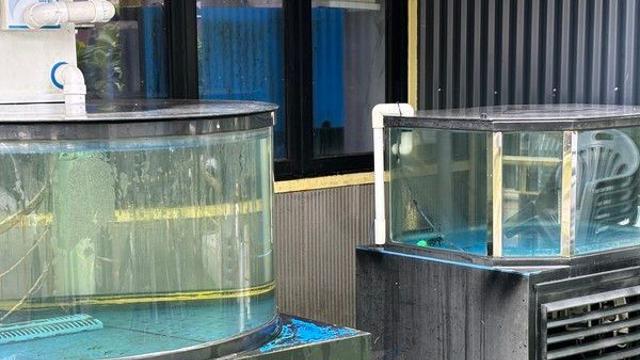 더 빨리 뜨거워진 바다 탓에 ‘국민 횟감’ 가격 ‘껑충’···광어·우럭 양식 비상