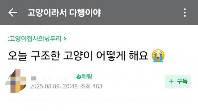 ㄱㄷ) 남편 몰래 거짓말하고 구조했더니 화내요ㅠㅠ