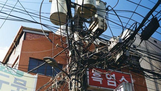 컬플 한롤 쪄왔어