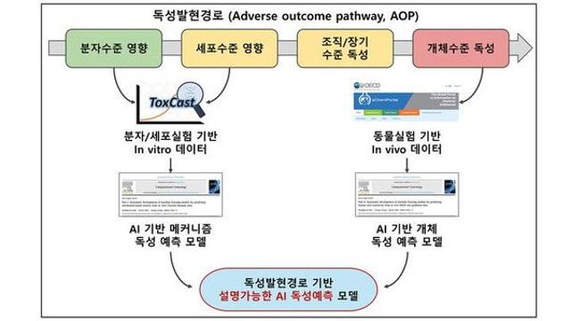 서울시립대, AI 기반 독성 예측 모델 개발…동물 대체시험법