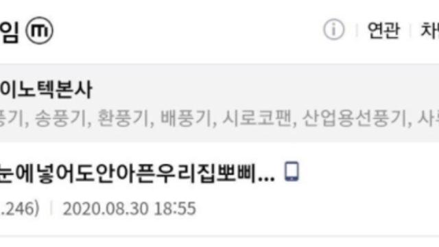 강아지 의문의 1패.