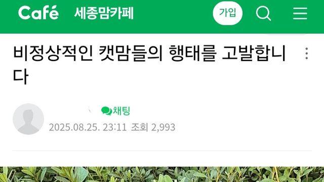 세종시에서 벌어지는 캣맘들의 행위