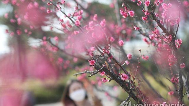 283개 공원 품은 김해시, 내년 초 '도시공원위원회' 출범