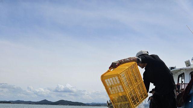 고수온 피해 우려 속 서산서 양식 물고기 15만8천마리 방류