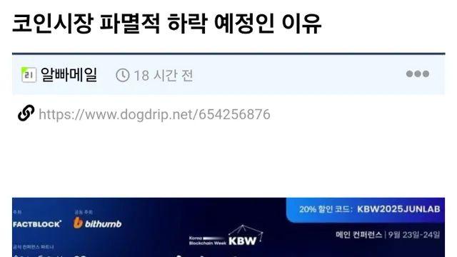 코인시장 파멸적 하락 예정인 이유