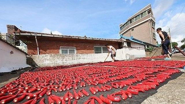 충북 구름 많고 소나기…낮 최고 30∼32도