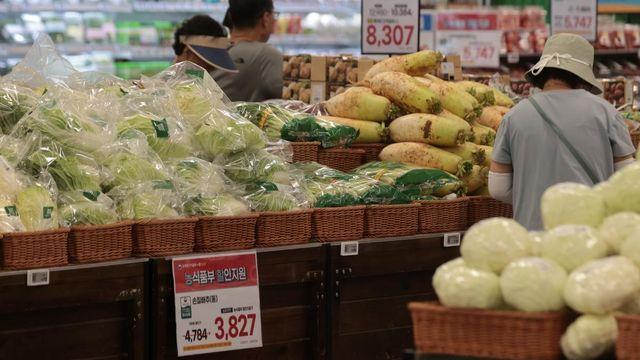 1년 만에 가격 반토막…지금이 가장 싸다는 한국인 밥상 '필수 채소'
