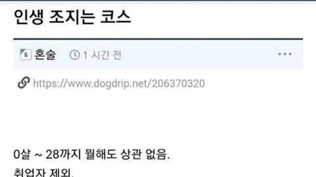 의외로 많이 보이는 인생 조지는 코스