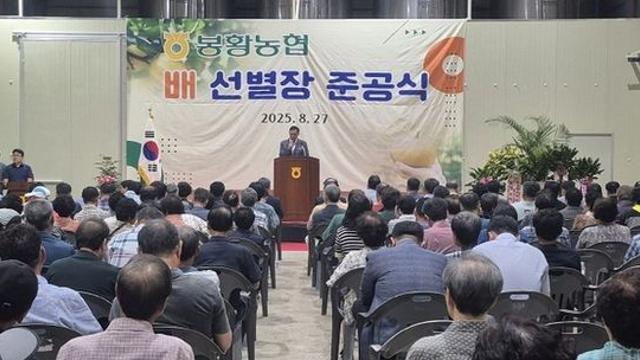 나주시, 봉황농협 배 선별장 새단장…농가 소득 안정 강화