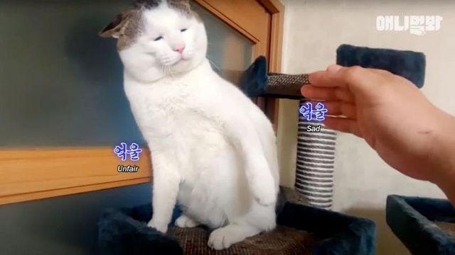 억울하게 생긴 집천사 병원 검진 결과