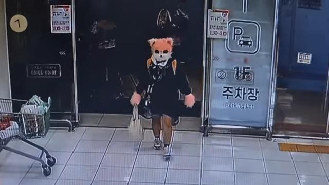 고양이 인형탈 쓰고 흉기 난동 20대 여성…경찰 질문에 