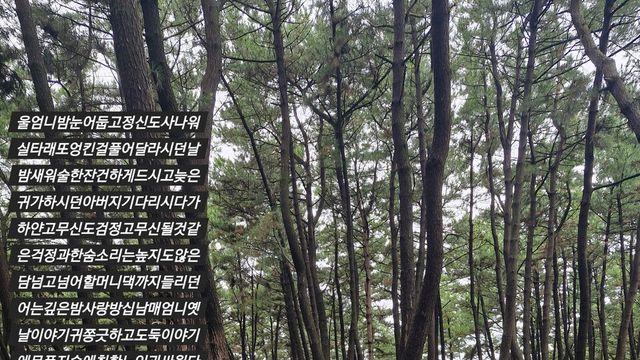 [보감과의 동행116] 울엄니꺼여이숲